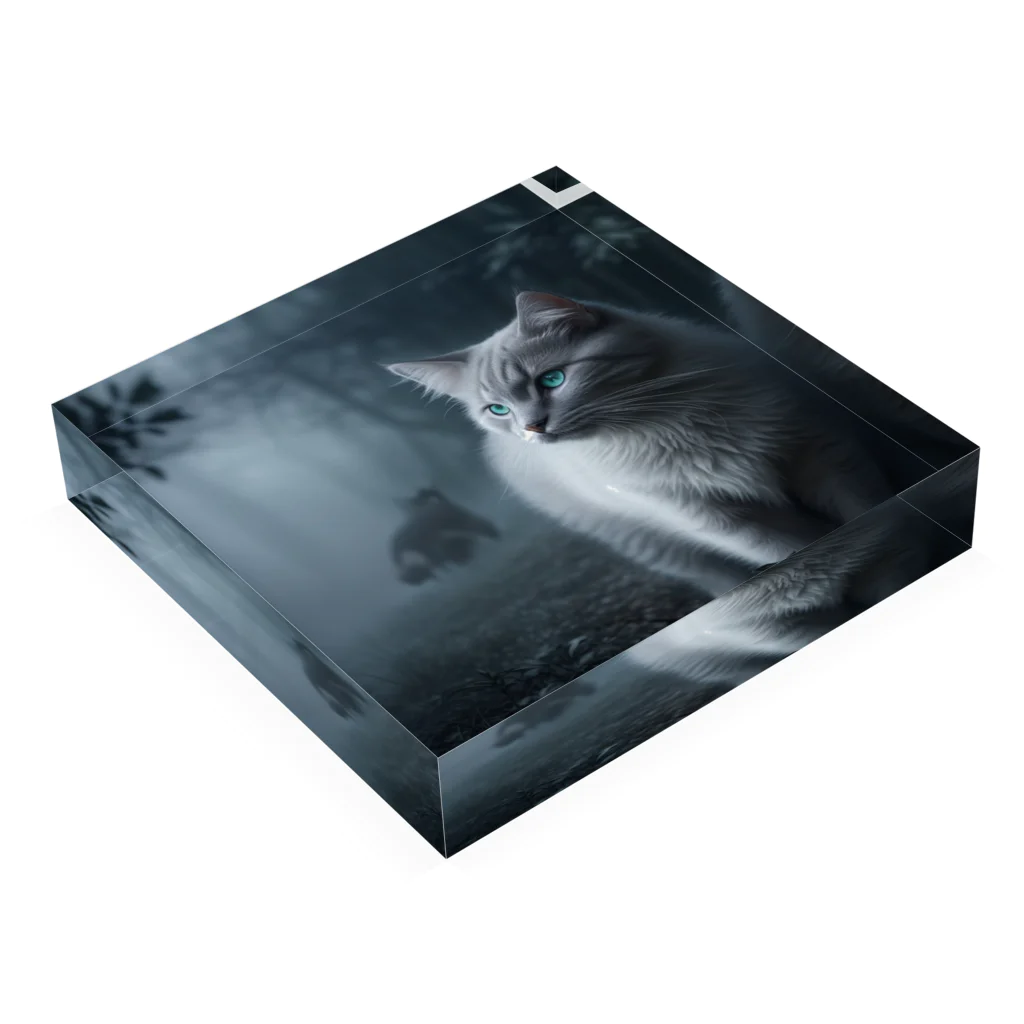 ZZRR12の「境界を見つめる猫の眼差し」 Acrylic Block :placed flat