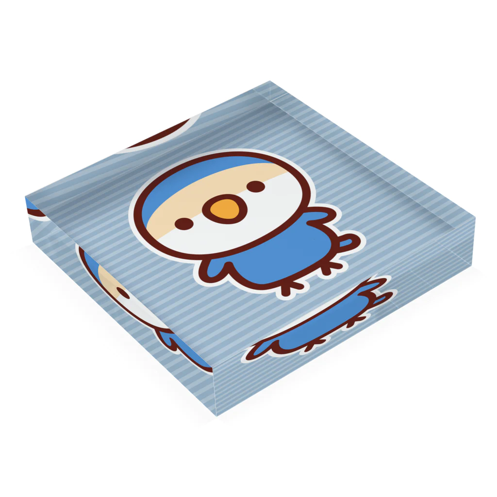 いんこ屋堂のコザクラインコ（バイオレットチェリー） Acrylic Block :placed flat