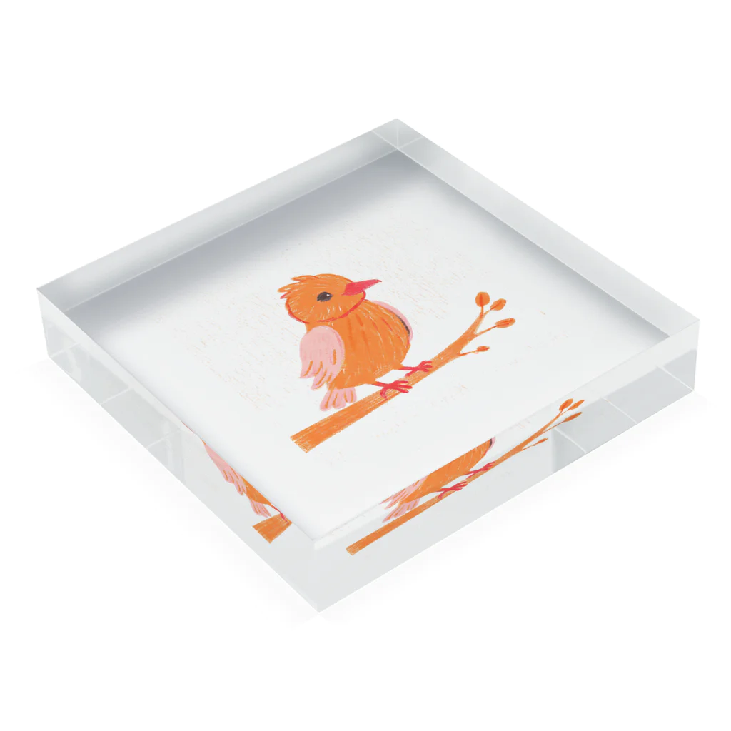 スプラッシュルークのかわいい小鳥のイラストグッズ Acrylic Block :placed flat