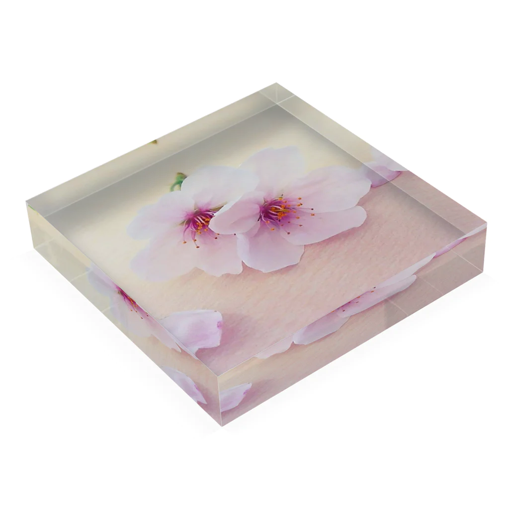 cherryblossomの桜(ピンク) Acrylic Block :placed flat