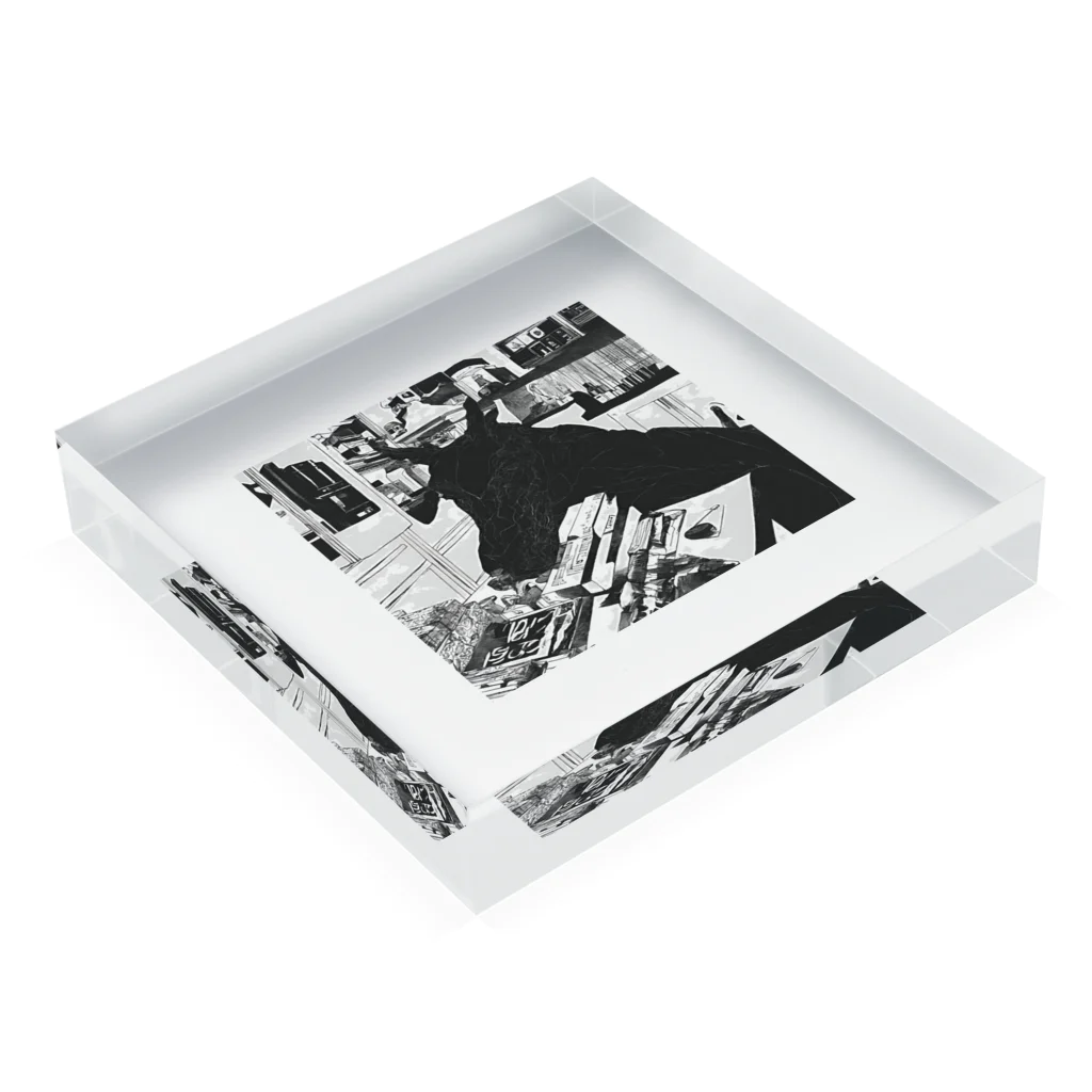 ZodyAのnoir Acrylic Block :placed flat