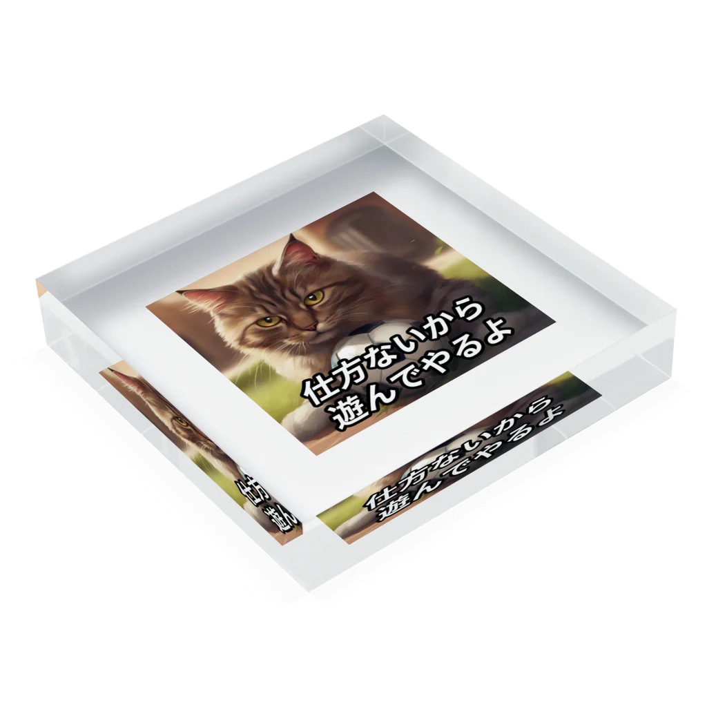 思い付きで起業した社会人の遊んでくれる猫 Acrylic Block :placed flat