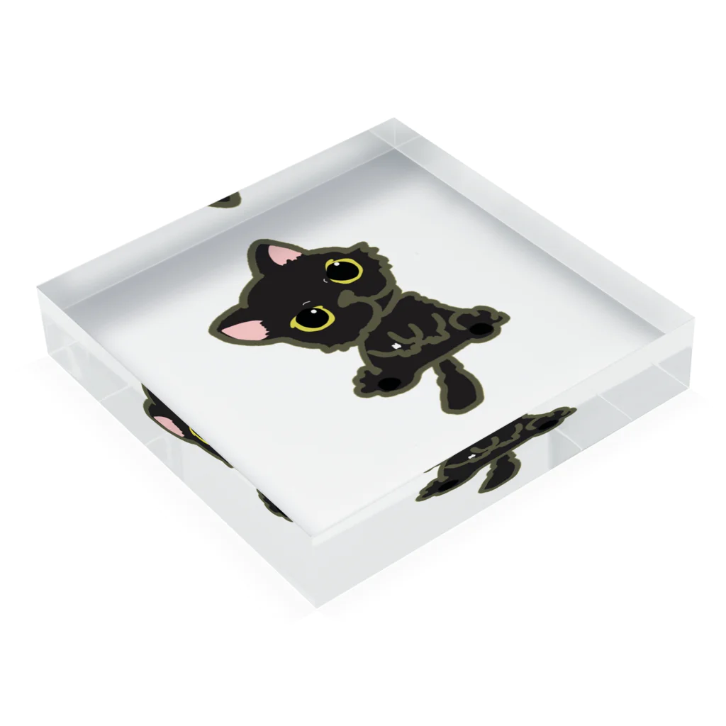 hogokeの保護猫 政宗 Acrylic Block :placed flat