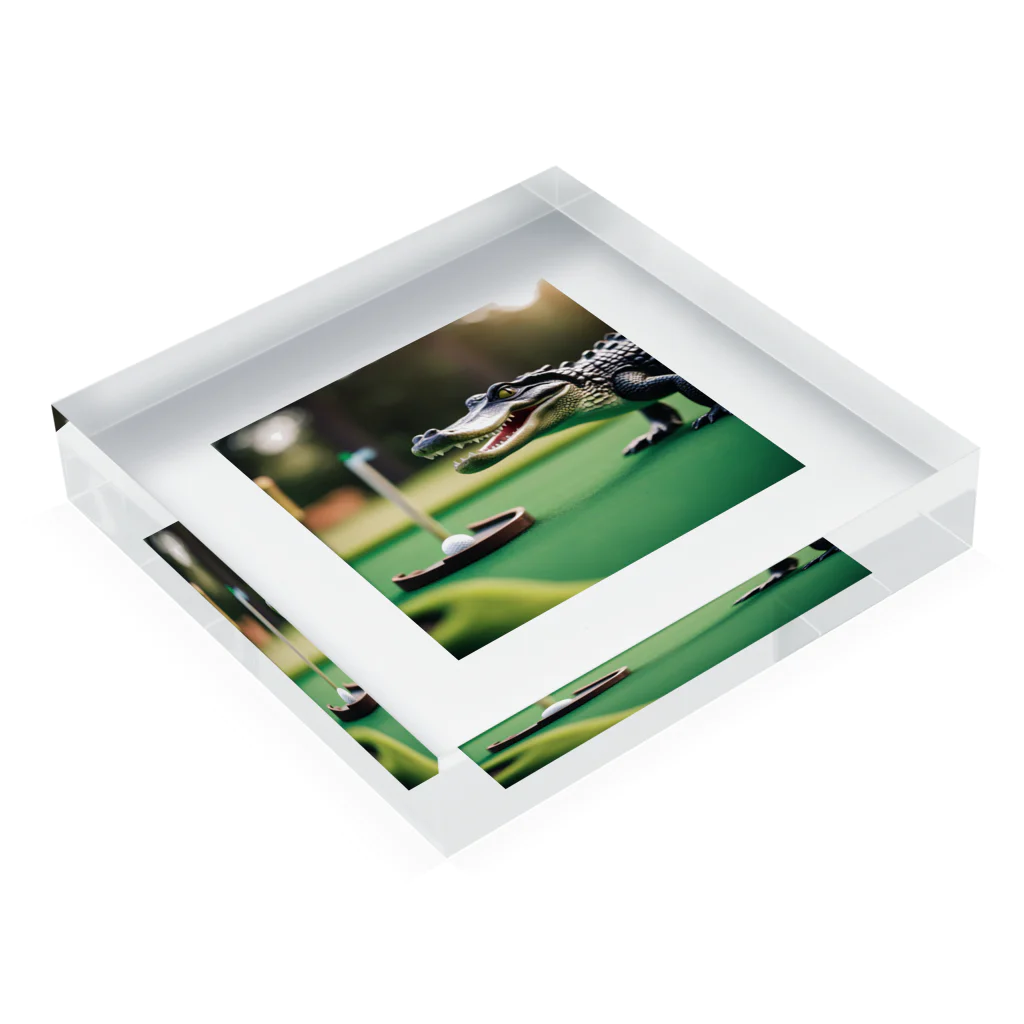 クロコダイリテンのGolfWANI Acrylic Block :placed flat