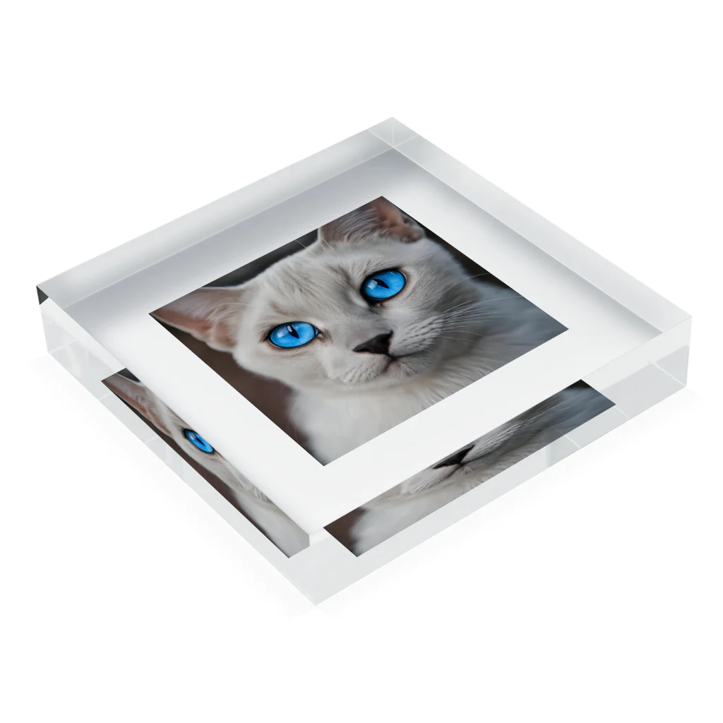 ソラトラの青目の猫 Acrylic Block :placed flat