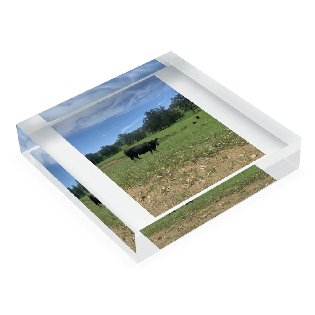 YASUE ABE JPのFarm Acrylic Block :placed flat