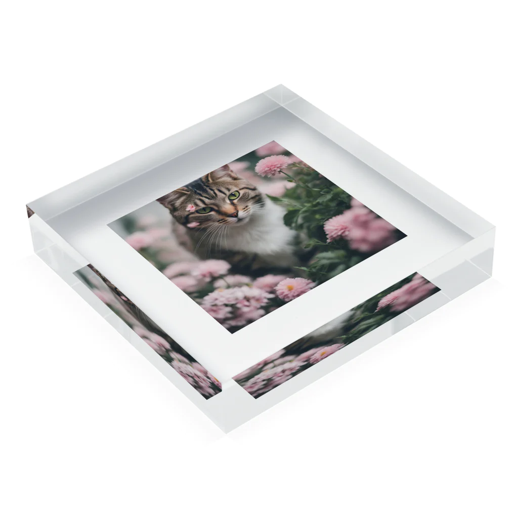 tyu0972の猫と花 Acrylic Block :placed flat