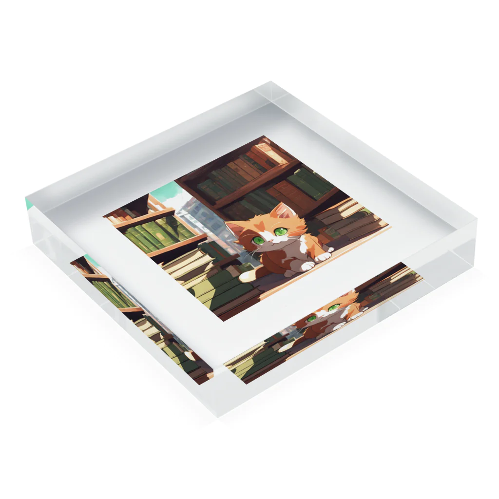 yoiyononakaの茶猫と本の部屋 Acrylic Block :placed flat