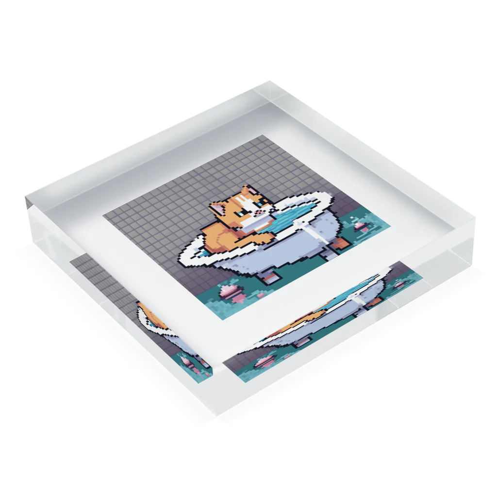 wakuwaku26のお風呂に入るボス猫 Acrylic Block :placed flat