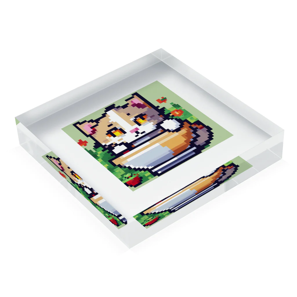 雪売店のマグカップかくれんぼ猫 Acrylic Block :placed flat