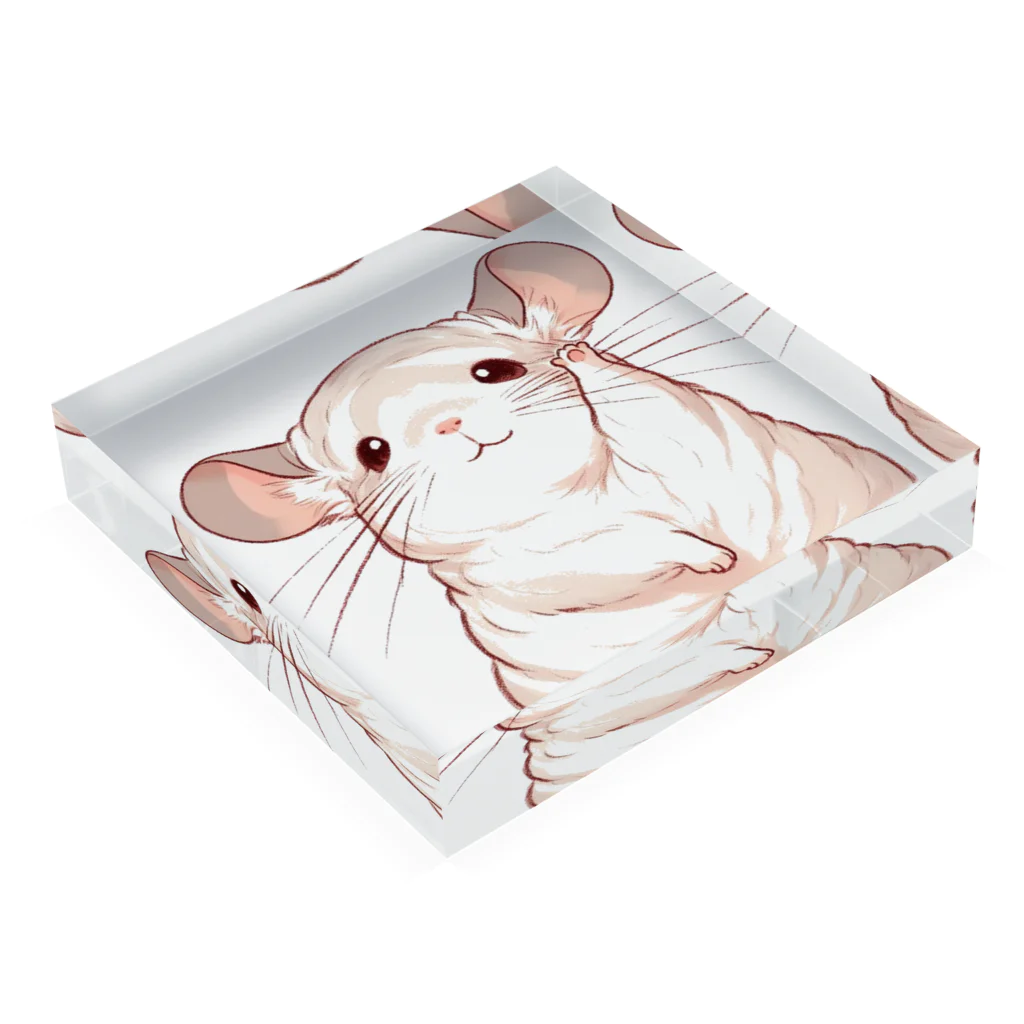 もふっとチンチラ🐭のおてあげチンチラ Acrylic Block :placed flat