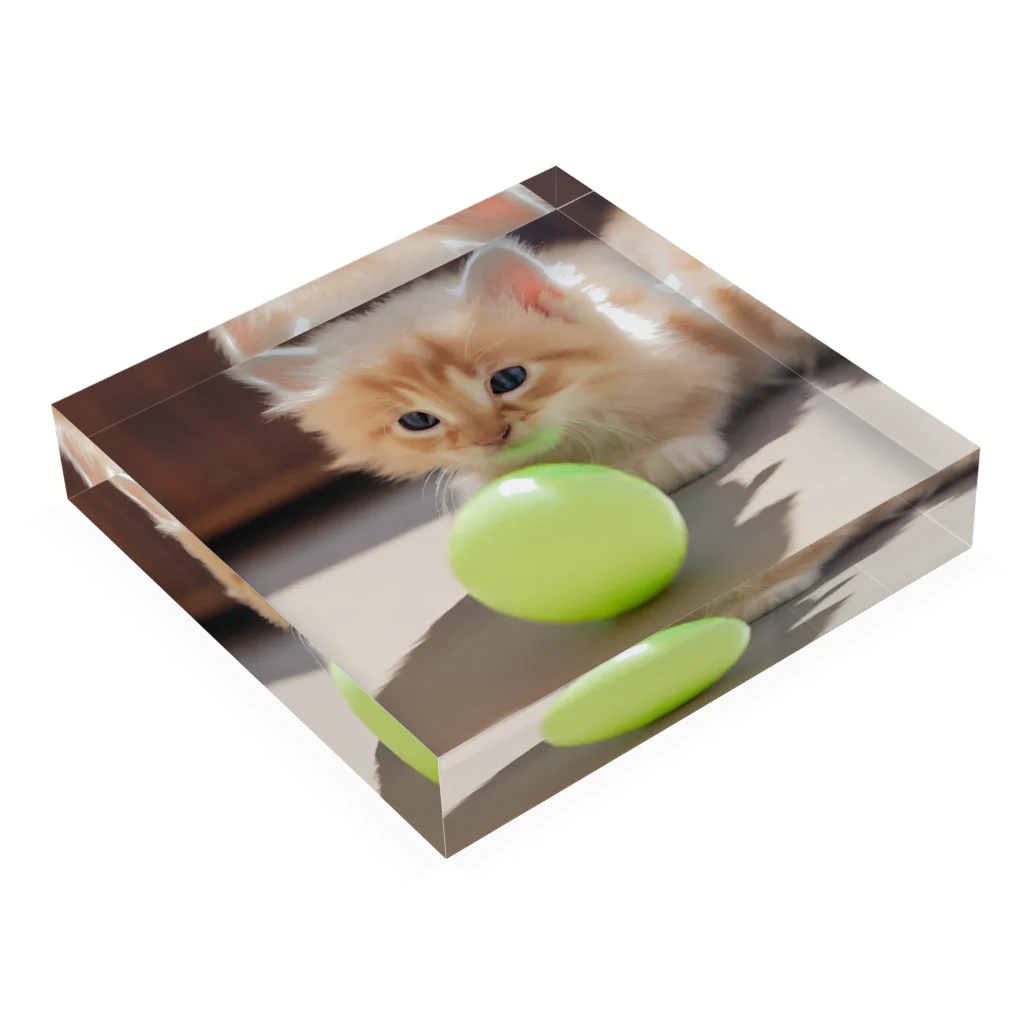 SkyBlueのもふもふな子猫 Acrylic Block :placed flat