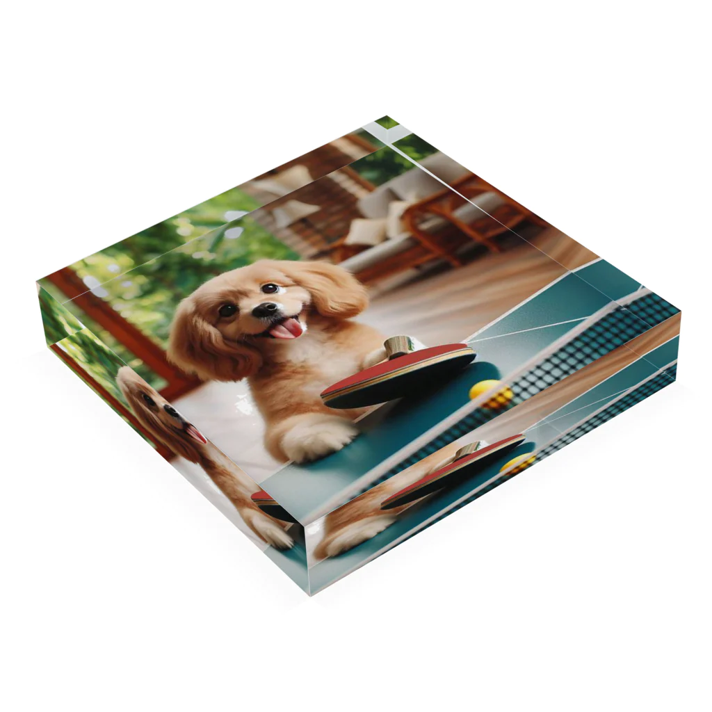 mitsu0123456の可愛い卓球犬 Acrylic Block :placed flat