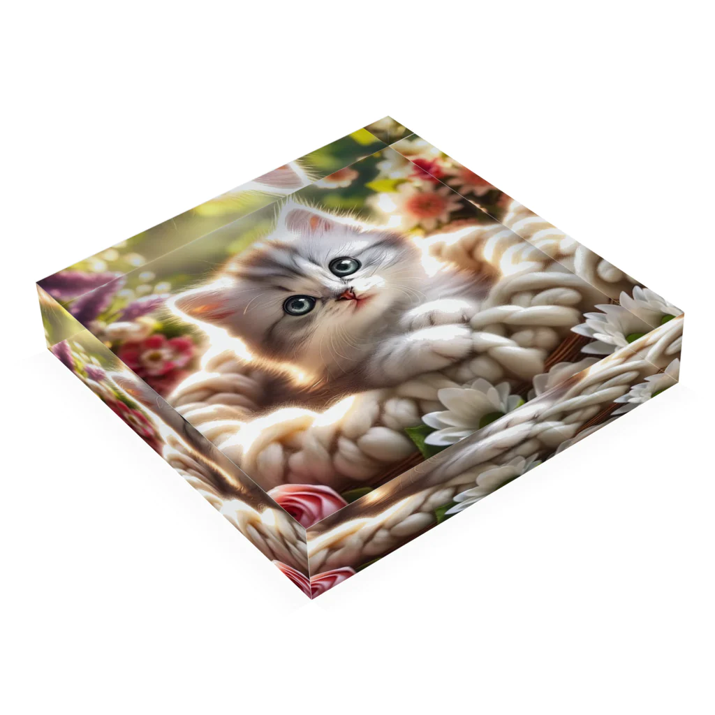 Cute! Salesの子猫 Acrylic Block :placed flat