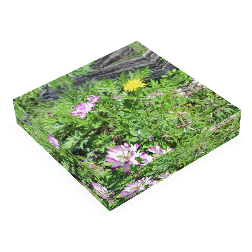 花と万華鏡の#08れんげ Acrylic Block :placed flat