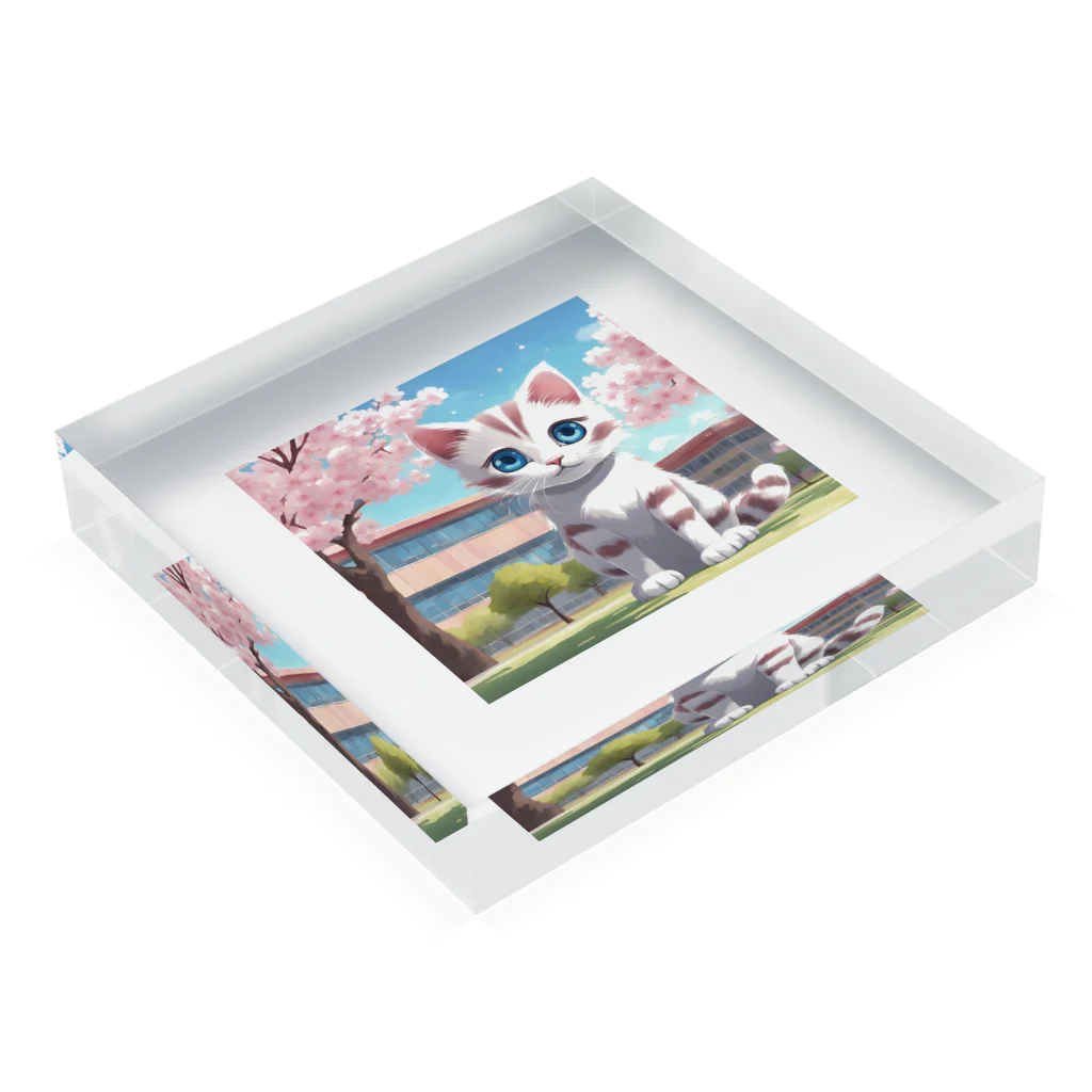 yoiyononakaの春と桜と虎縞白猫06 Acrylic Block :placed flat