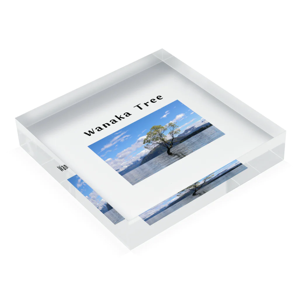 絶景の宝石箱のWanaka Tree〜自然の宝石箱:ニュージランドより〜 Acrylic Block :placed flat