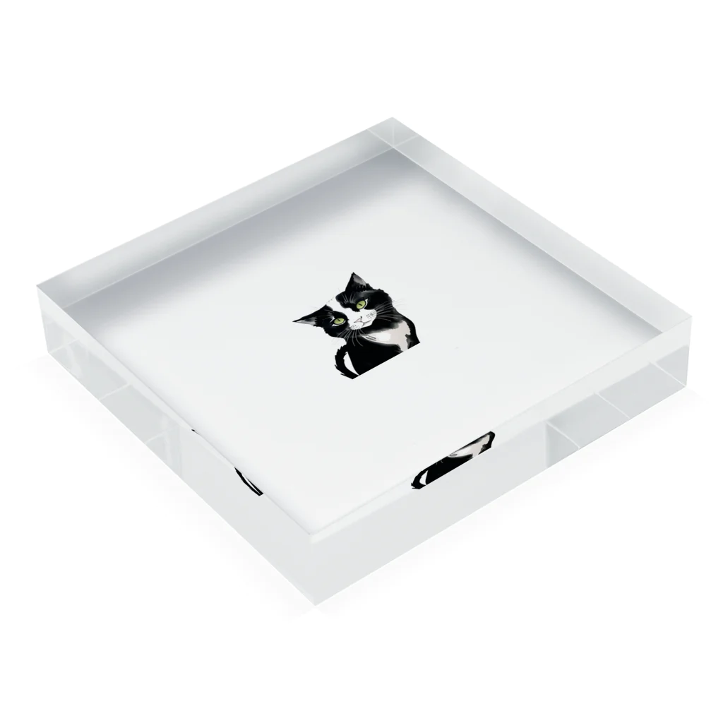 HakaショップのインクCAT Acrylic Block :placed flat