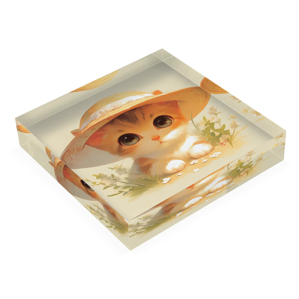 AQUAMETAVERSEの帽子をかぶった可愛い子猫 Marsa 106 Acrylic Block :placed flat