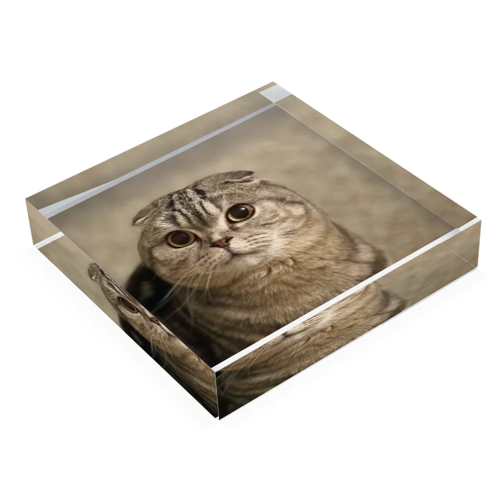 チビの店のチビ猫 Acrylic Block :placed flat