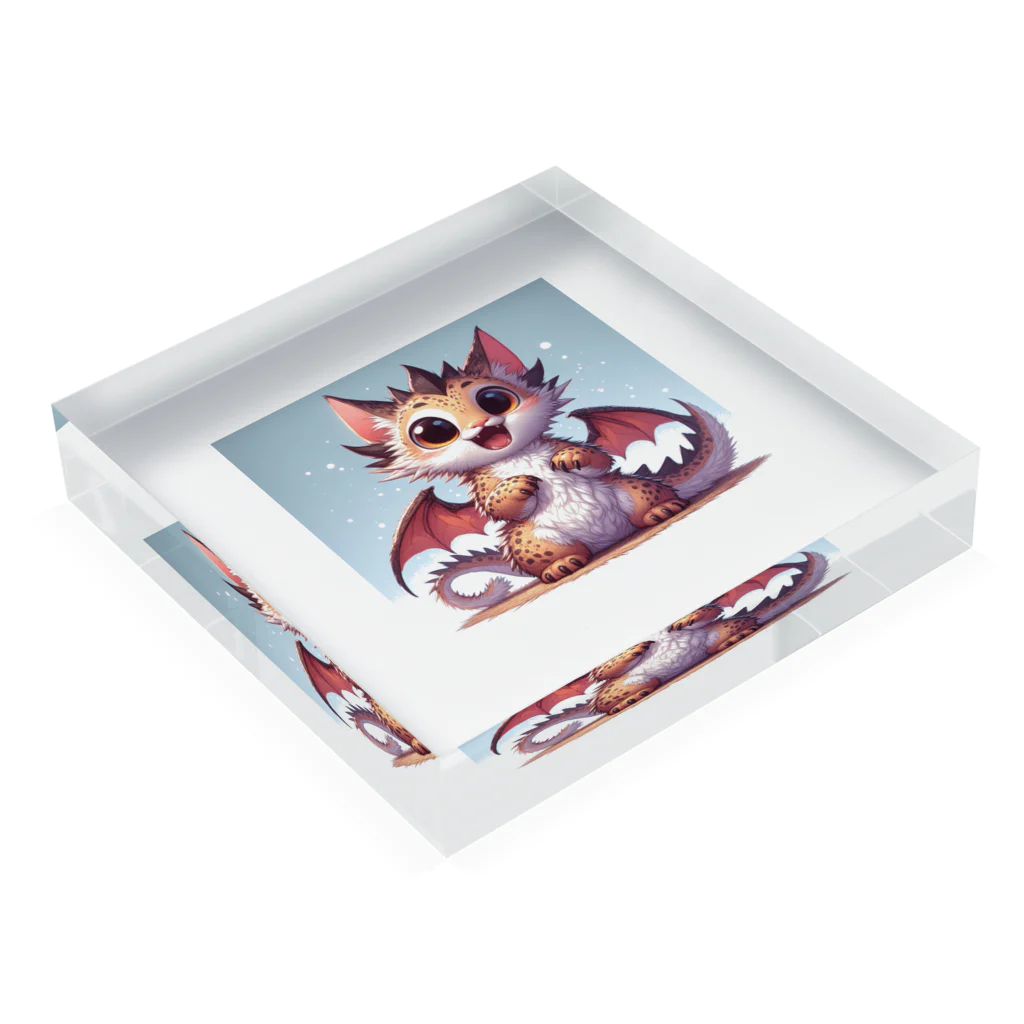 nekodoragonのびっくり！ 猫ドラゴン Acrylic Block :placed flat