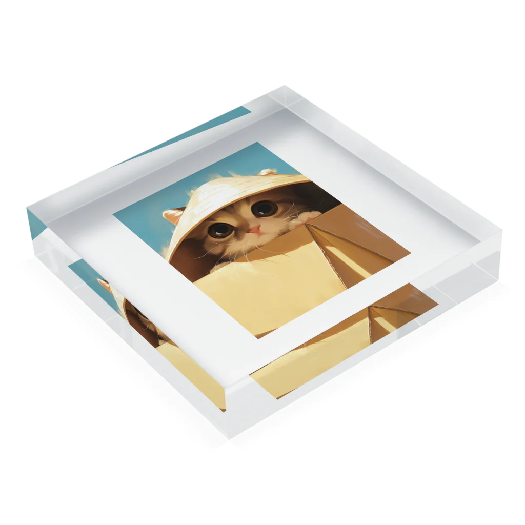 AQUAMETAVERSEの箱からのぞいている子猫　ラフルール　1859 Acrylic Block :placed flat