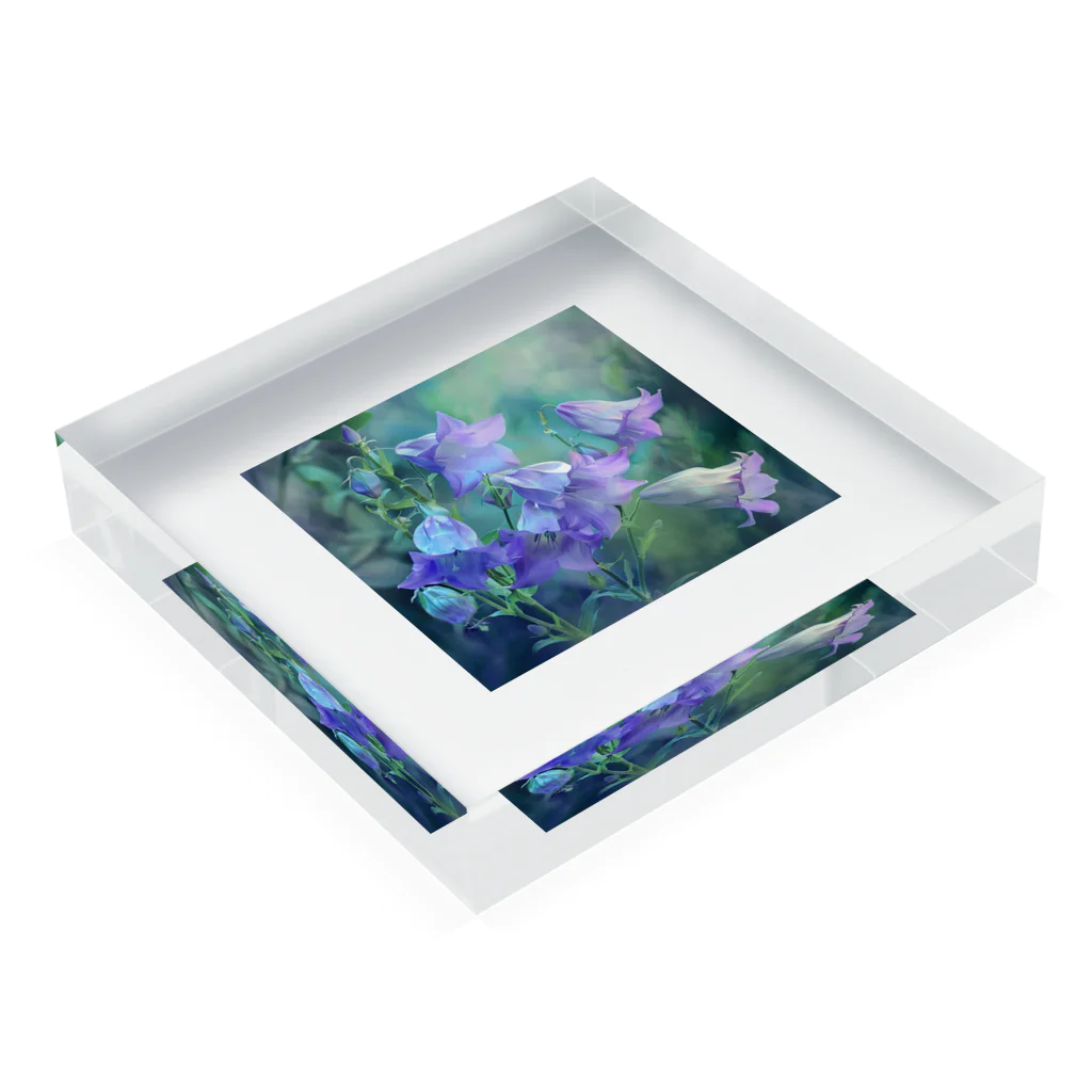 AQUAMETAVERSEの紫の花　なでしこ1478 Acrylic Block :placed flat