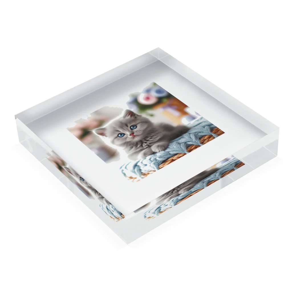 ねこ好き姉貴のねこ好き姉貴 Acrylic Block :placed flat