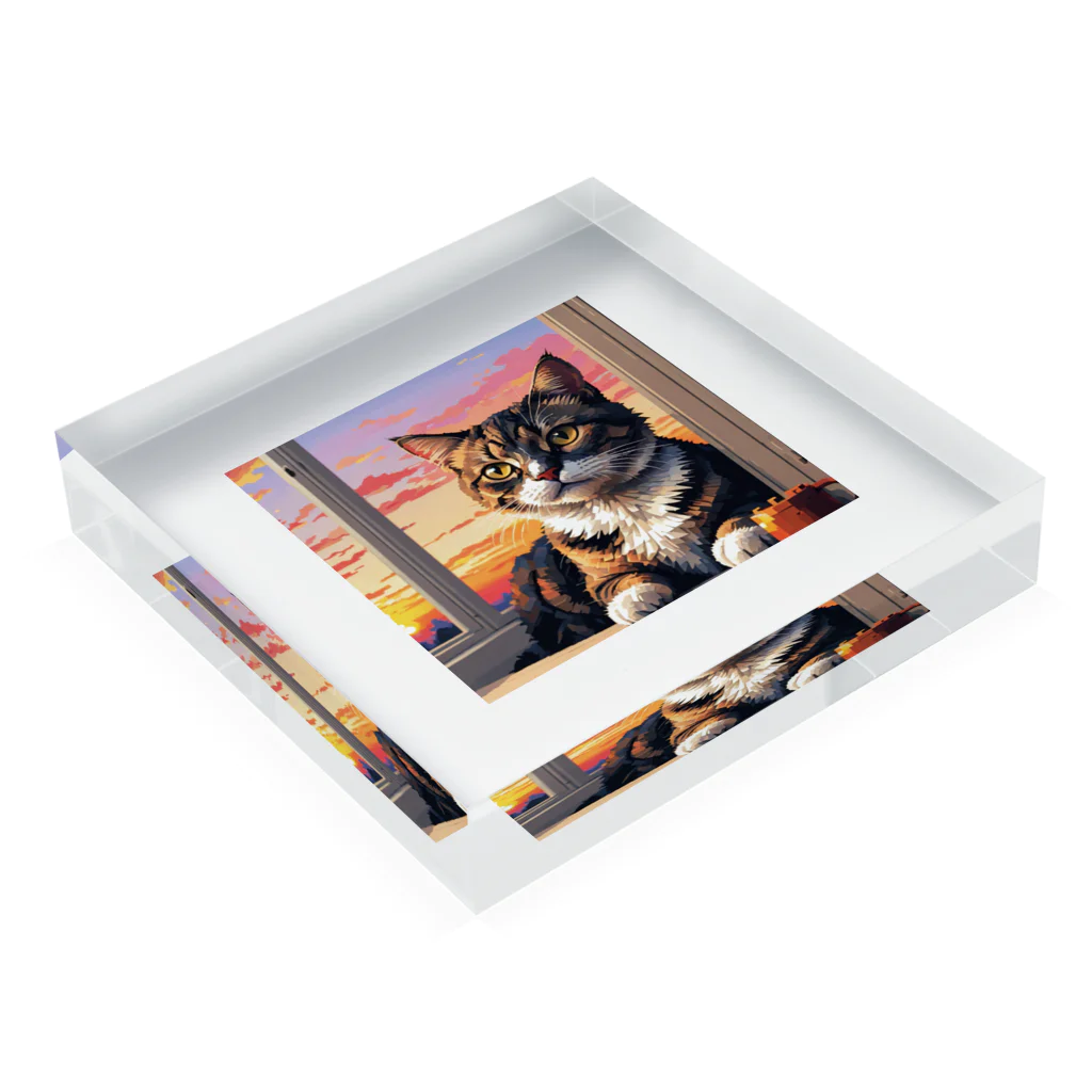 ねこネコ猫nekoの夕日と猫 Acrylic Block :placed flat