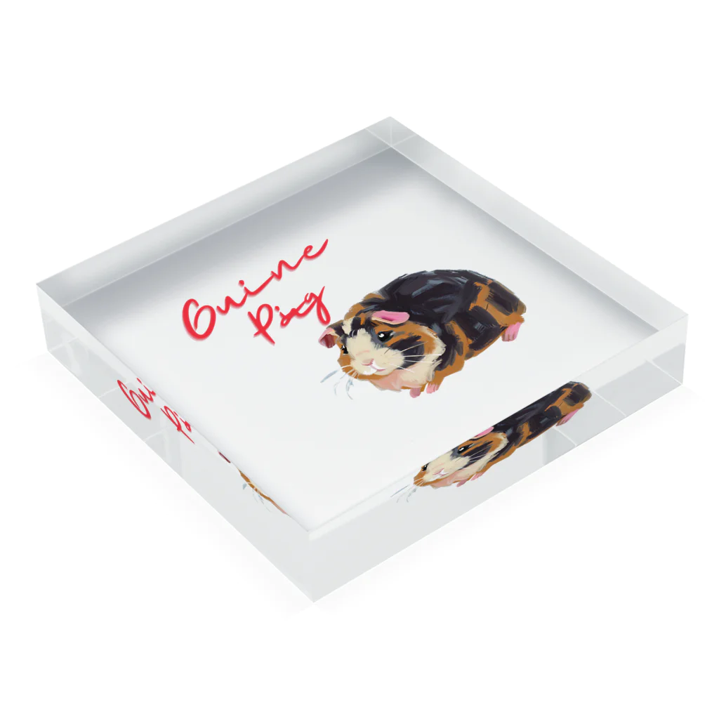 OKameMolꕤ︎︎オカメモルの油絵風「GuineaPig」三毛モルモット Acrylic Block :placed flat