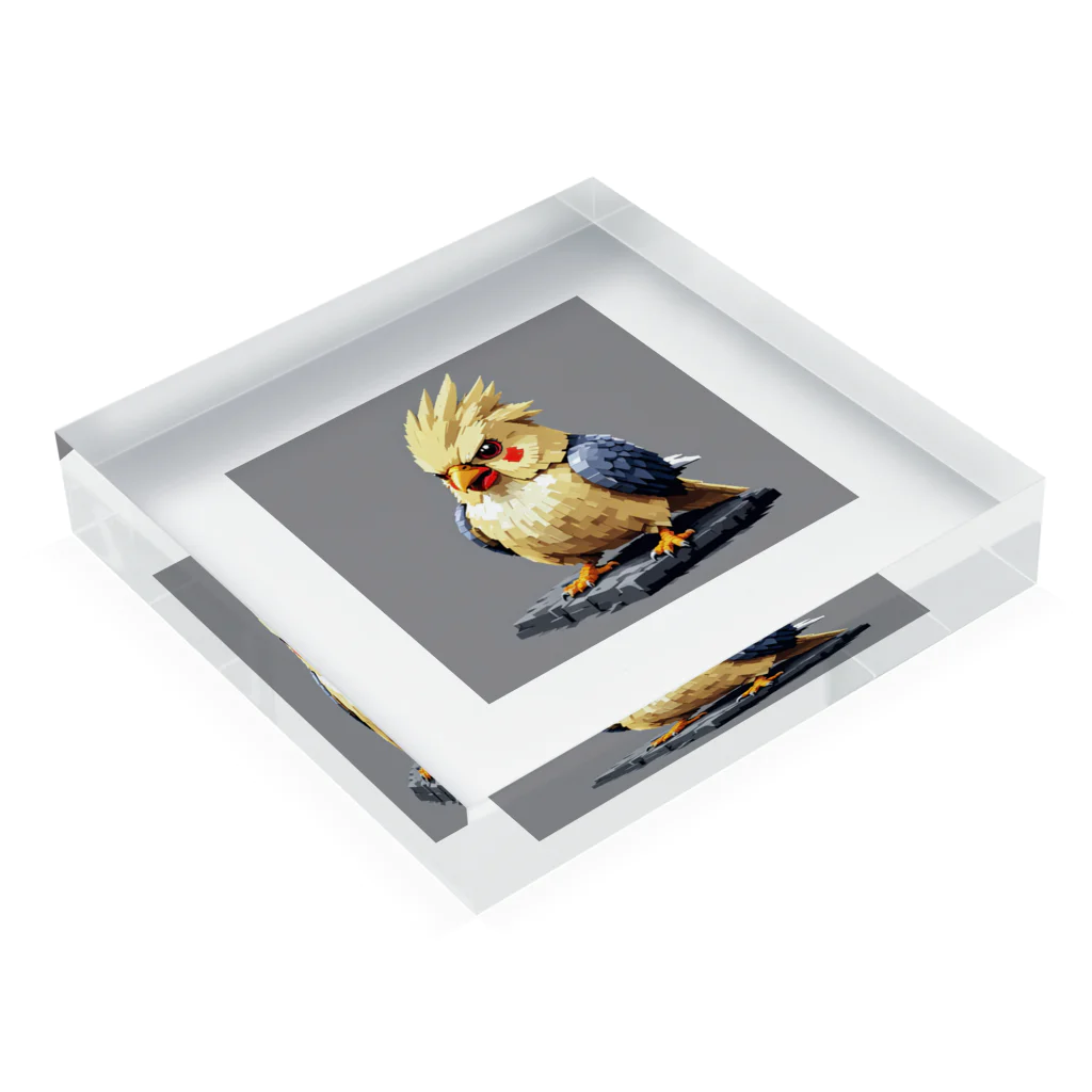 インコグッズの怒ったオカメインコ Acrylic Block :placed flat