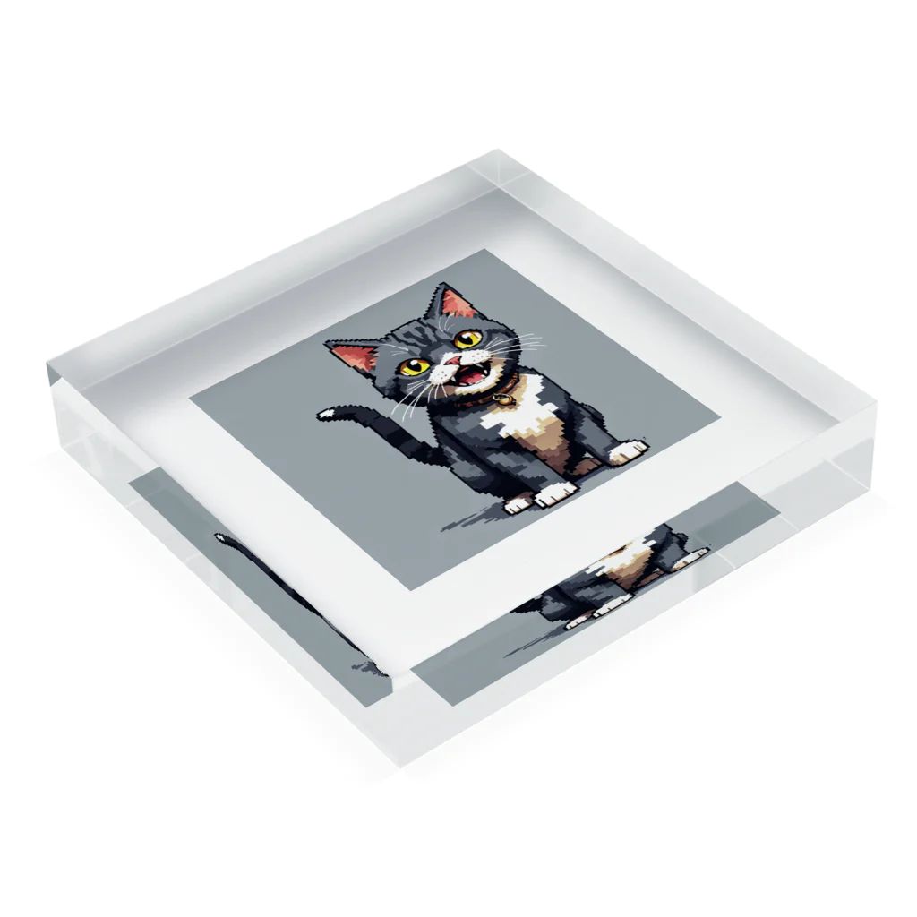 ♡wincorner♡のにゃーな猫ちゃん Acrylic Block :placed flat