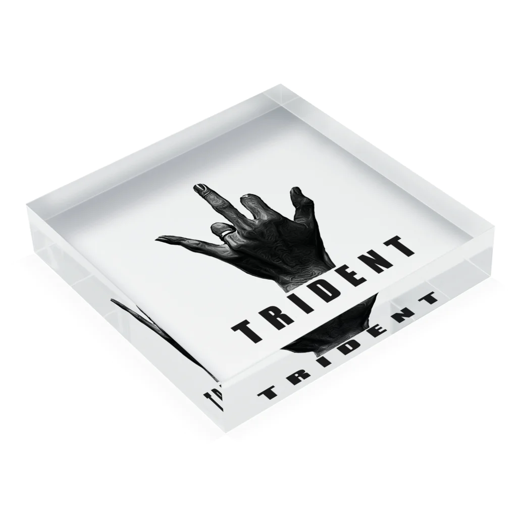 Trident.Project.の00_1 Acrylic Block :placed flat