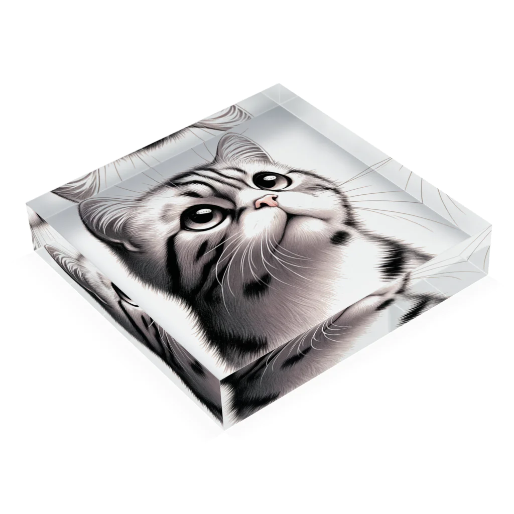 獣医学生の高橋さんの斜め上を見る猫 Acrylic Block :placed flat