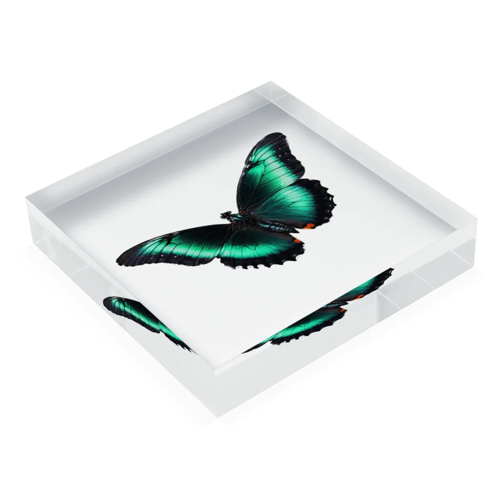 Mitsugosiの黒と翡翠の蝶々 Acrylic Block :placed flat