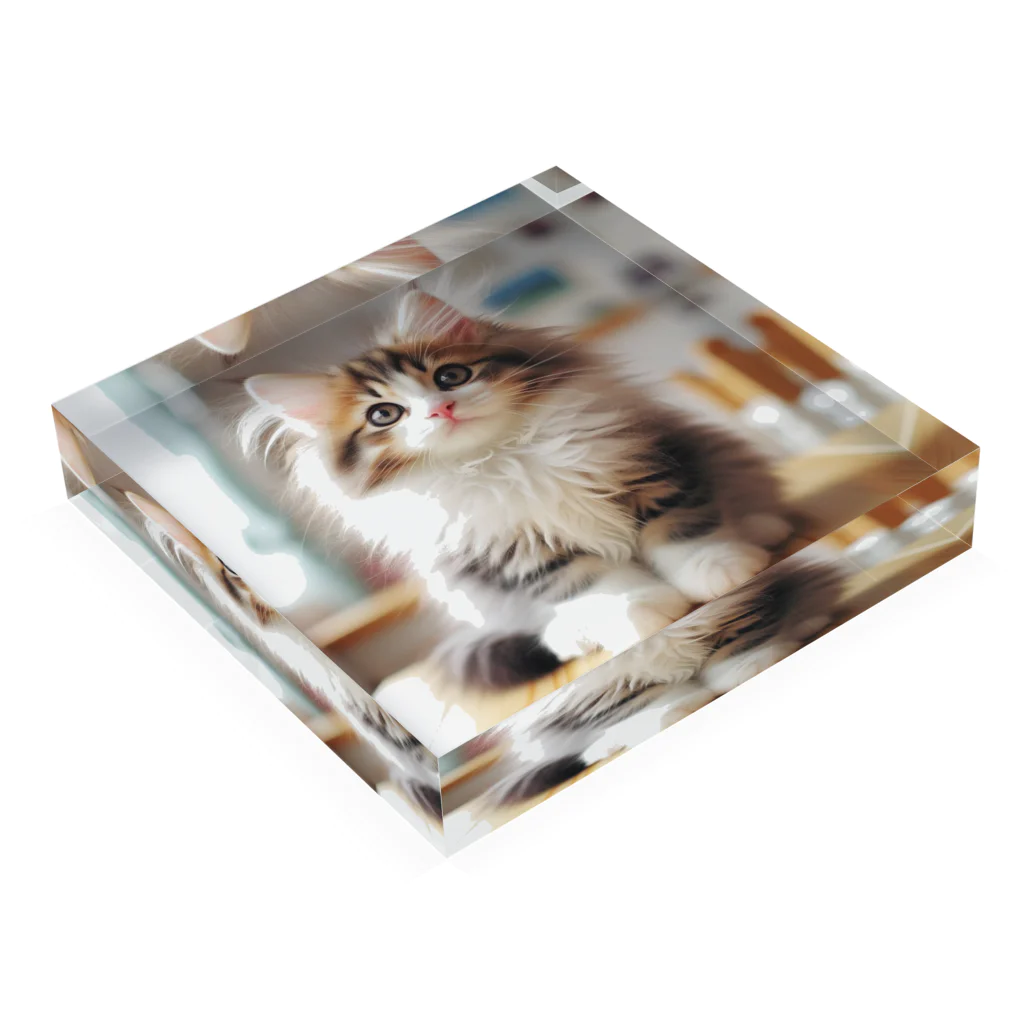 Creation CATのゴージャスCAT Acrylic Block :placed flat