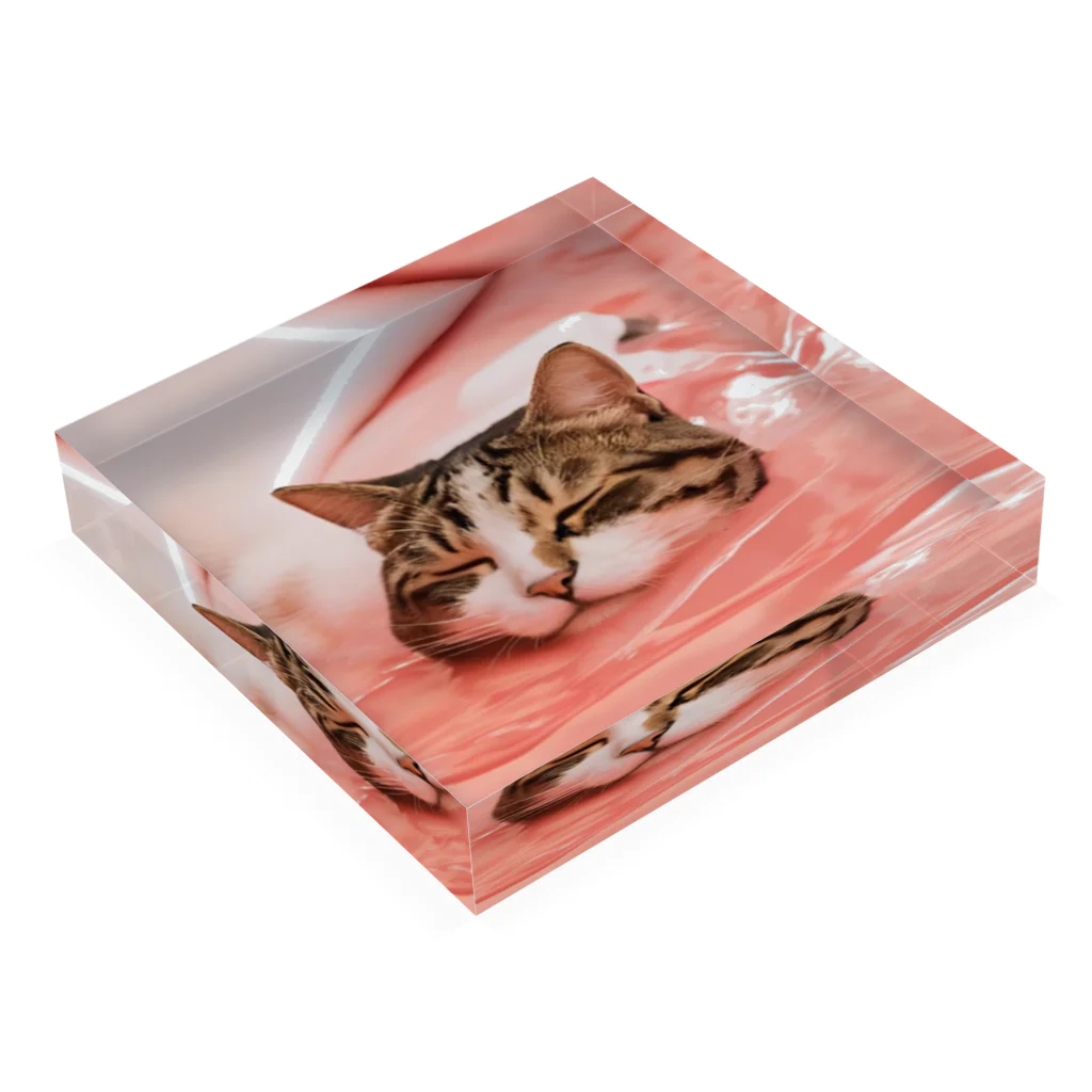 yume-neko-houseのとろける猫 Acrylic Block :placed flat