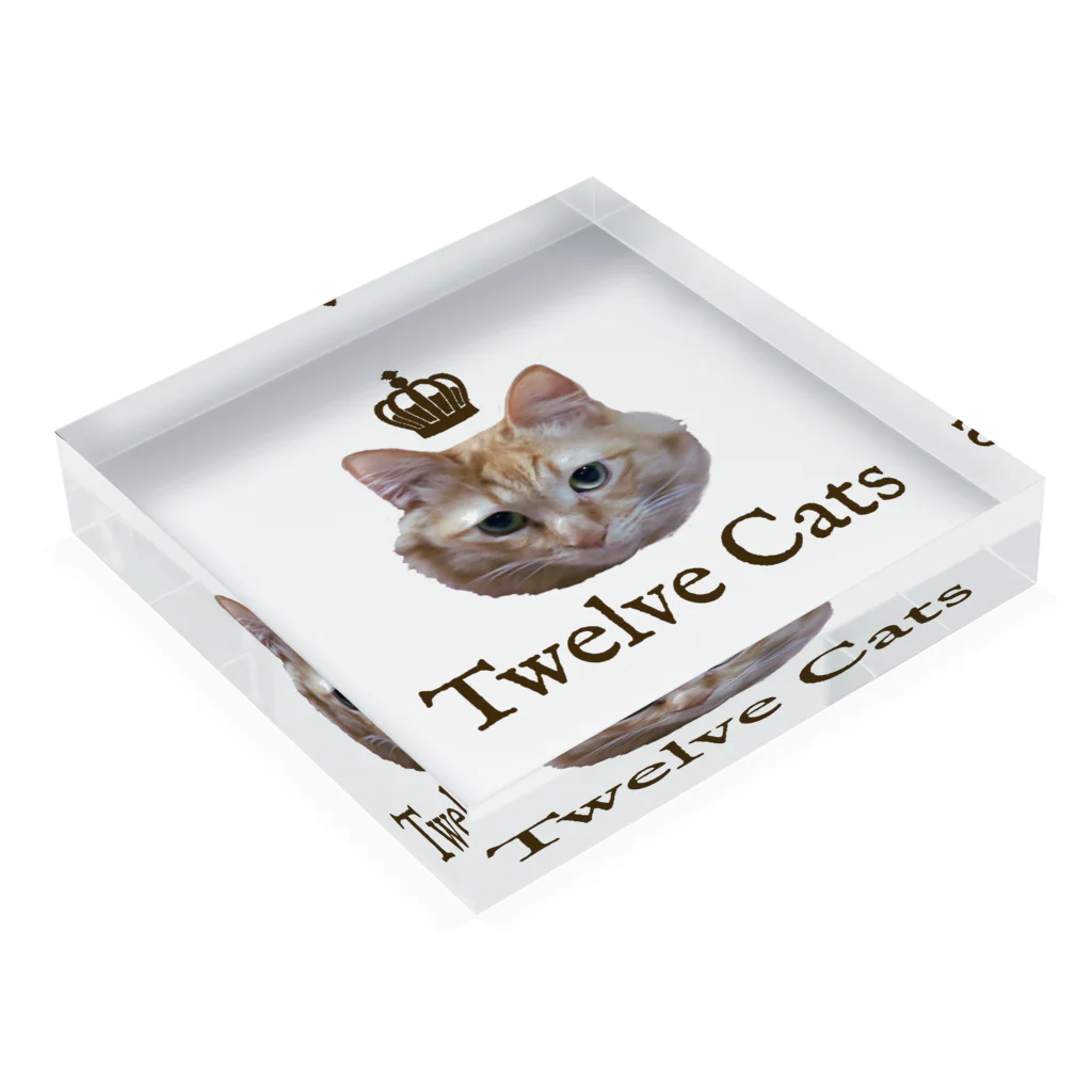 Twelve Catsの百獣の王 アクリルブロックの平置き