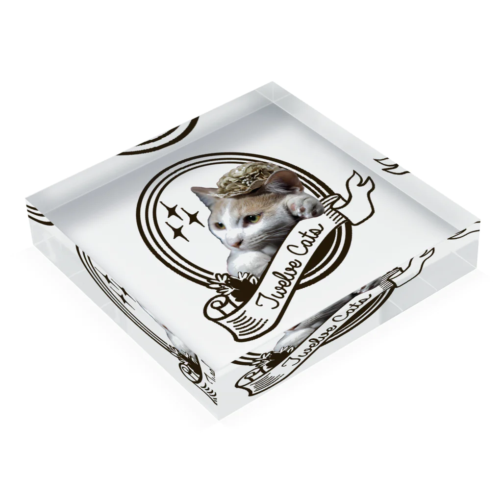 Twelve Catsの貴婦人 Acrylic Block :placed flat