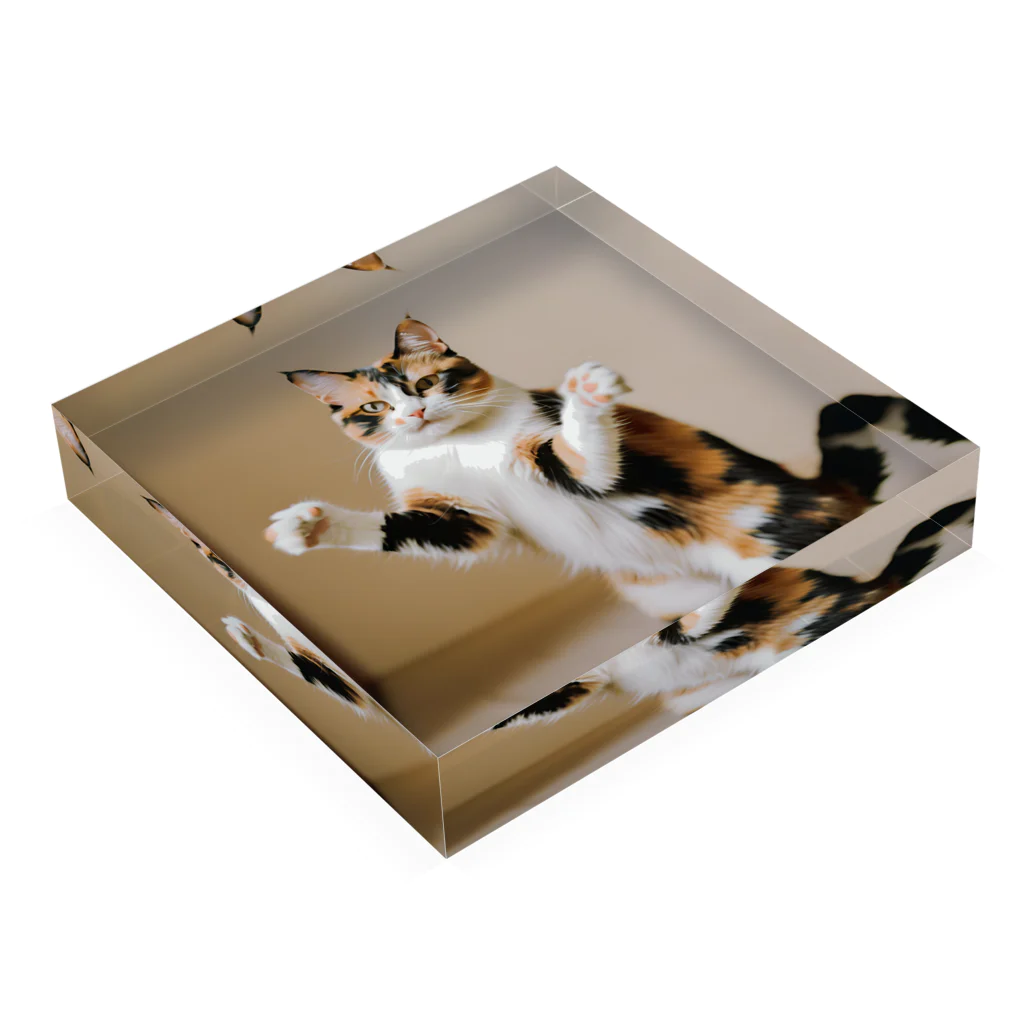 shadowshadowの三毛猫 Acrylic Block :placed flat