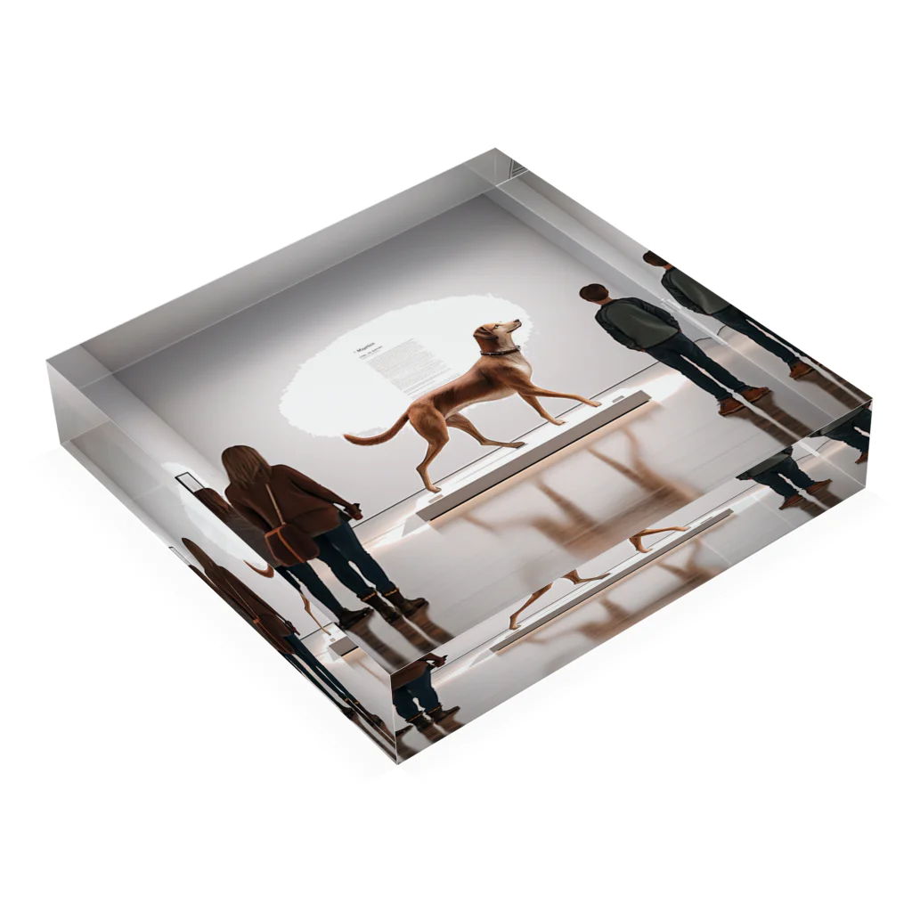 平野愛理の展示犬 Acrylic Block :placed flat