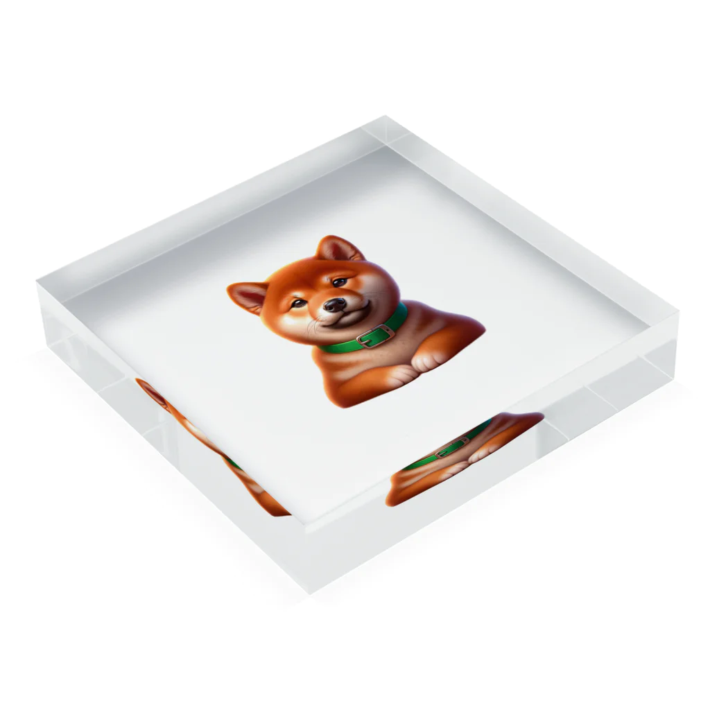 柴楽のフレンドリーな柴犬 Acrylic Block :placed flat