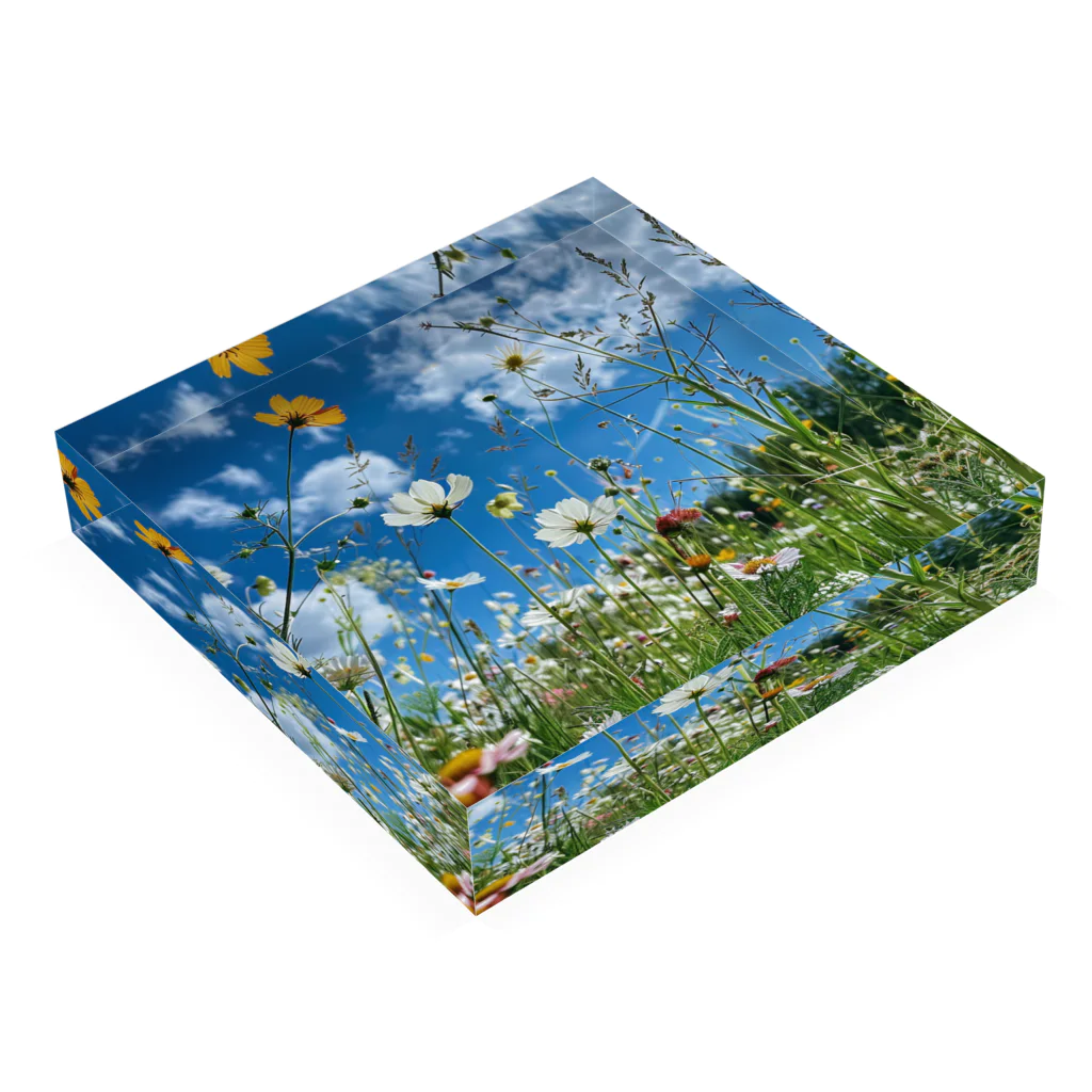 ドライバーの色々な草花 Acrylic Block :placed flat