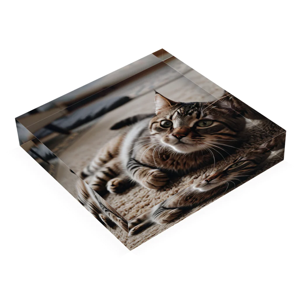 zigerparkの寝転ぶ猫 Acrylic Block :placed flat