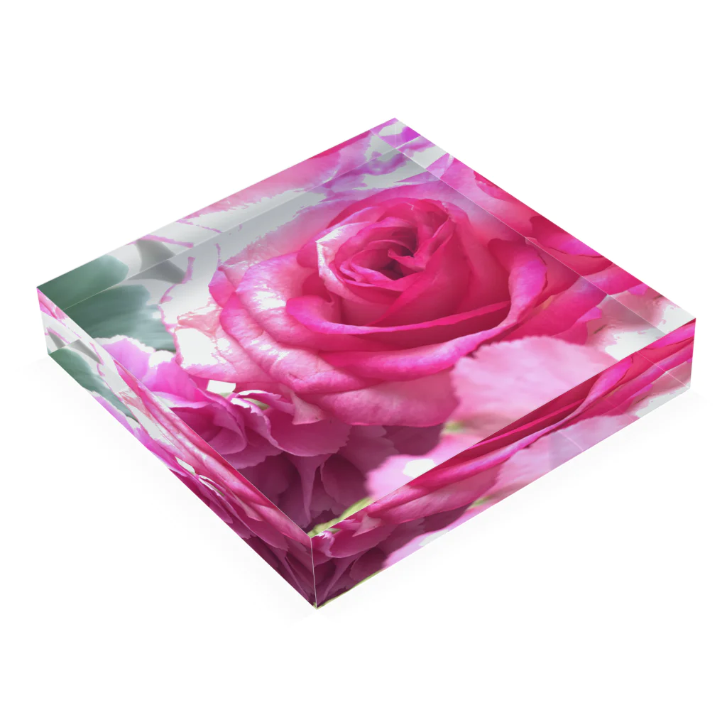 UvUのrose Acrylic Block :placed flat