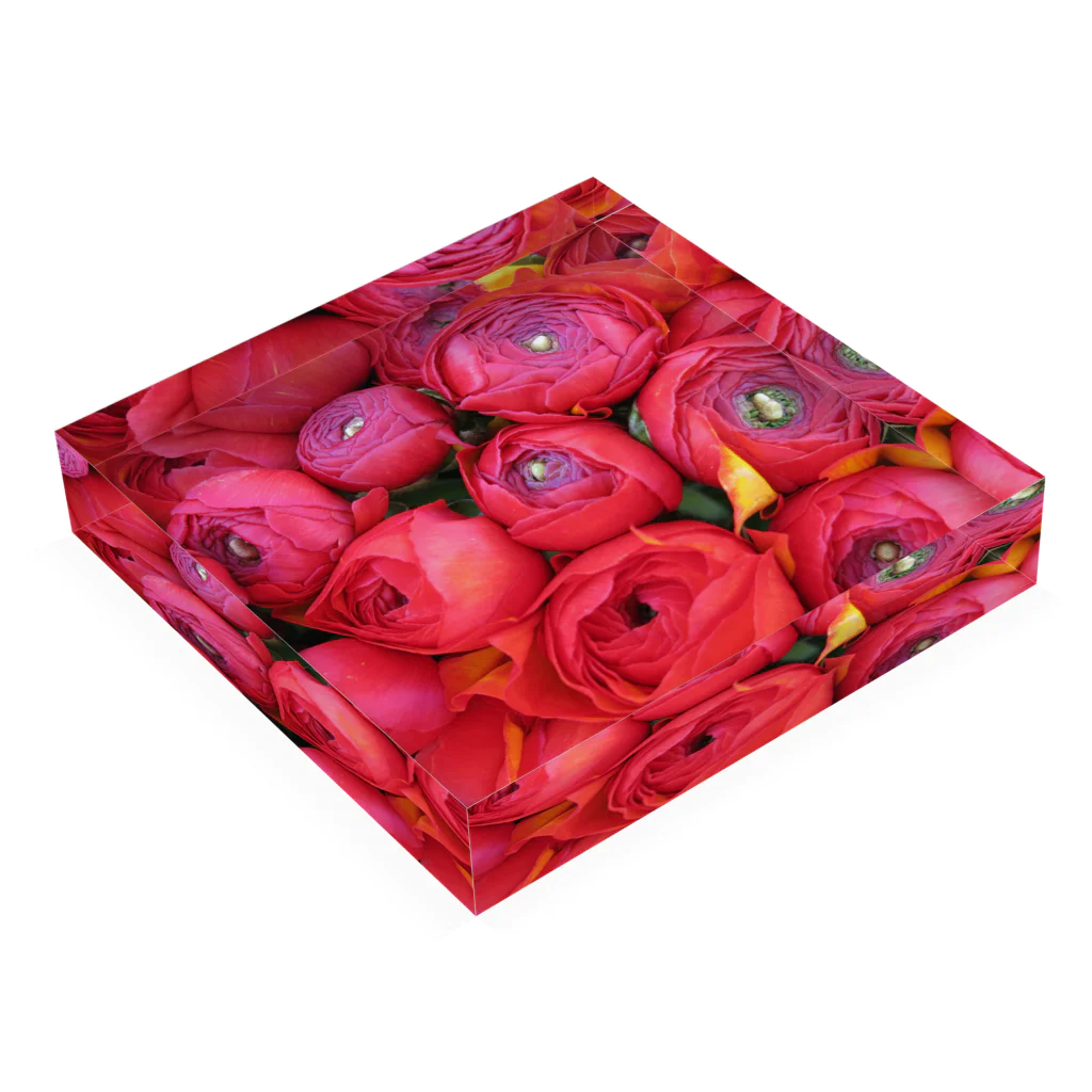 mayblueのred peony Acrylic Block :placed flat