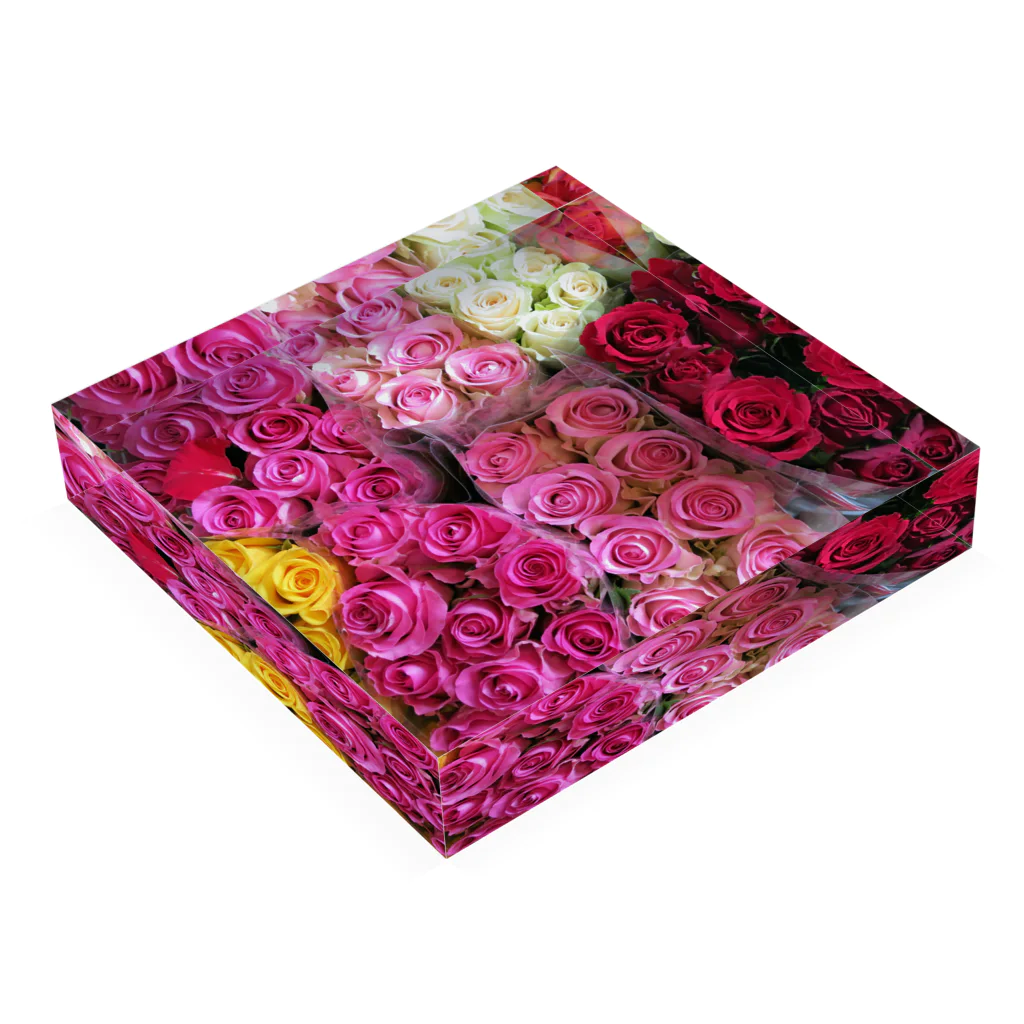 mayblueのroses Acrylic Block :placed flat