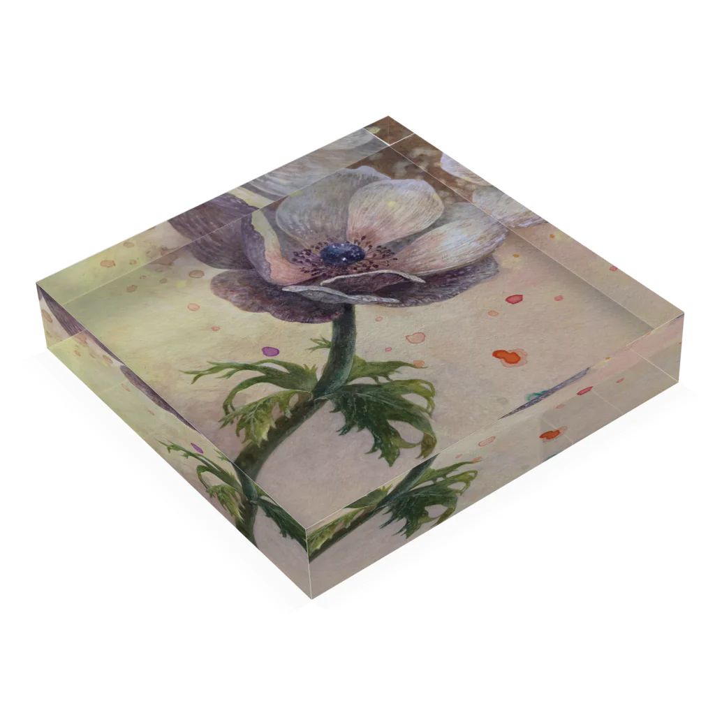 kano-natural-art-galleryのアネモネ Acrylic Block :placed flat