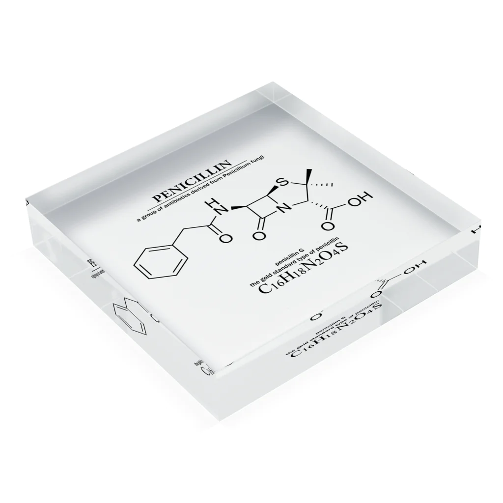 アタマスタイルのペニシリン(青カビに含まれる抗生物質・感染症に対応）：化学：化学構造・分子式 Acrylic Block :placed flat