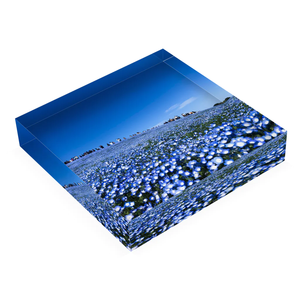 アルアルアルパカの青×青 Acrylic Block :placed flat